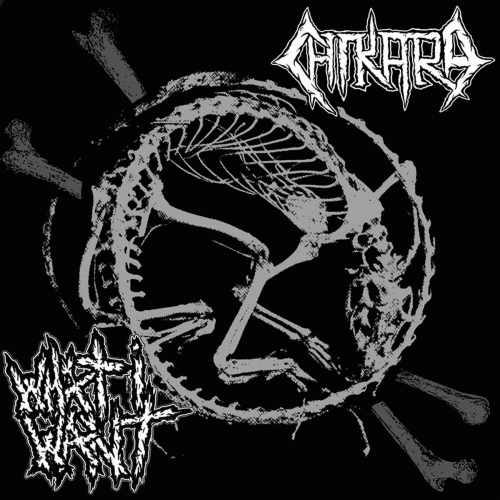 Chikara : Chikara - What I Want